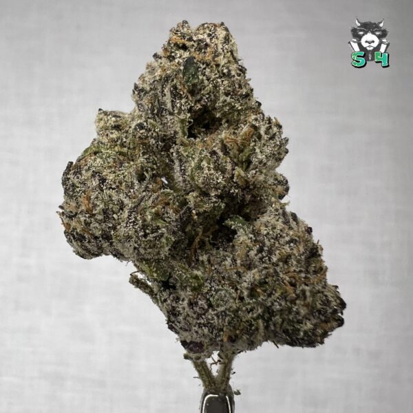 Double Candy - D3