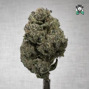 Super Candy - H55