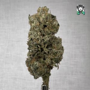 Orignal Runtz - F5