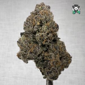 Space Candy - N20