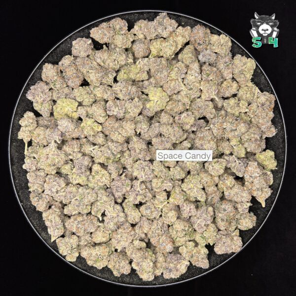 Space Candy - N20 - Image 2