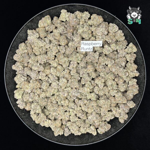 Raspberry Runtz - J2 - Image 2