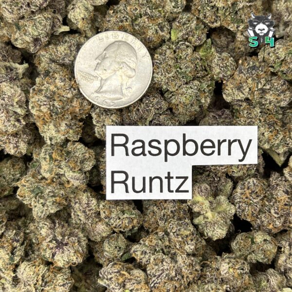 Raspberry Runtz - J2 - Image 3