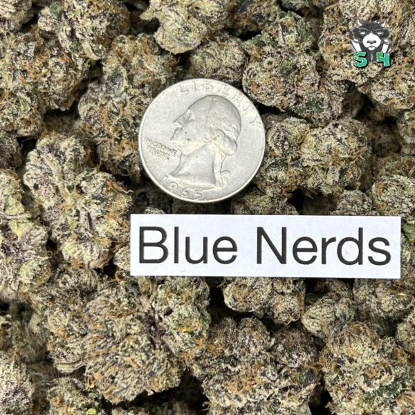 Blue Nerds - J2 - Image 3