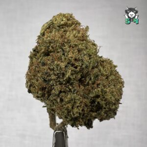 Z Pie - T12