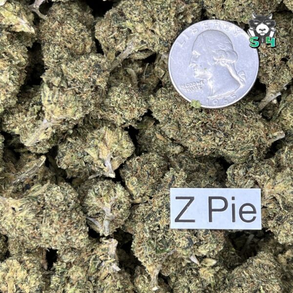 Z Pie - T12 - Image 3
