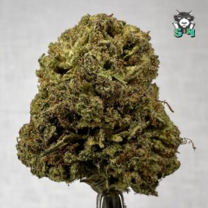 Cry Baby OG - T12