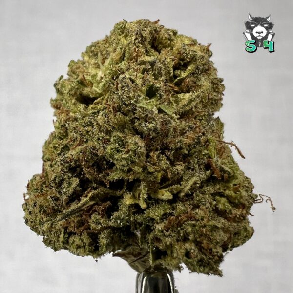 Cry Baby OG - T12