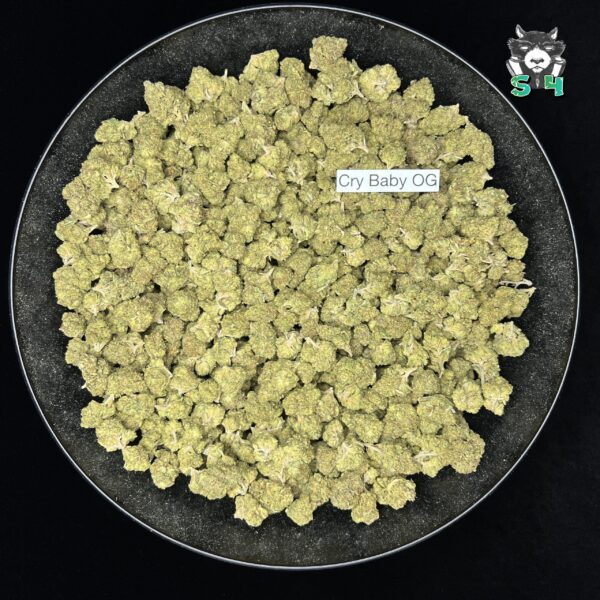 Cry Baby OG - T12 - Image 2