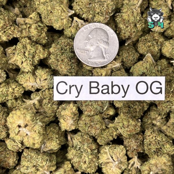 Cry Baby OG - T12 - Image 3