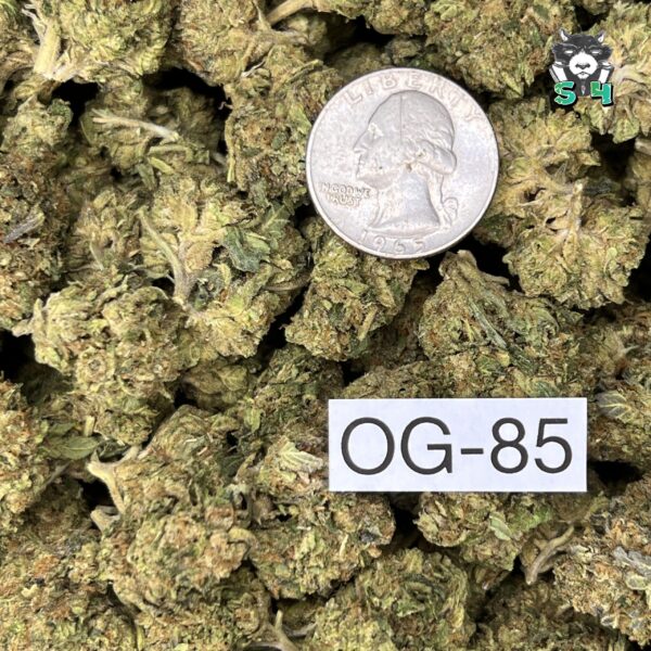 OG 85 - T12 - Image 3