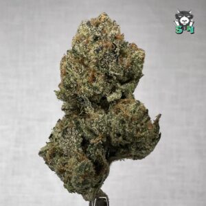 Bolo Runtz Green - K3
