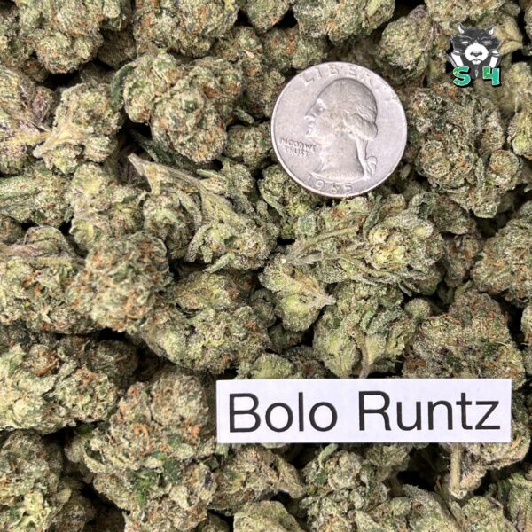 Bolo Runtz Green - K3 - Image 3