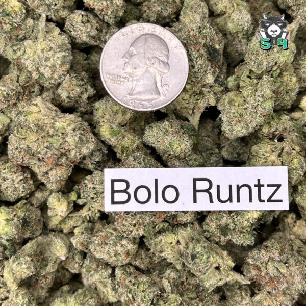 Bolo Runtz - K3 - Image 3
