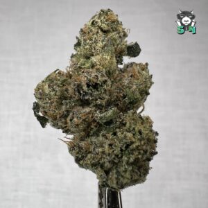 Double Cherries - K3