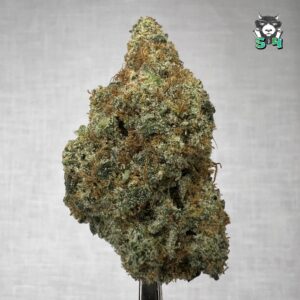Mad Fruit - K54