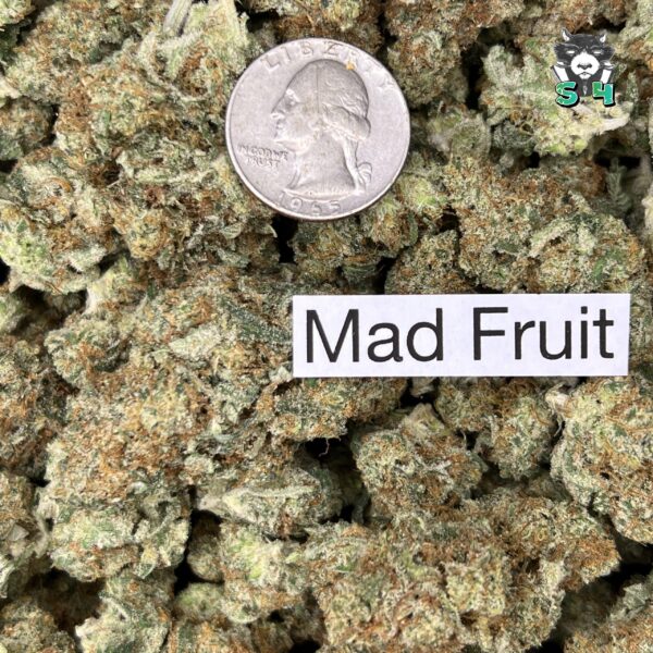 Mad Fruit - K54 - Image 3