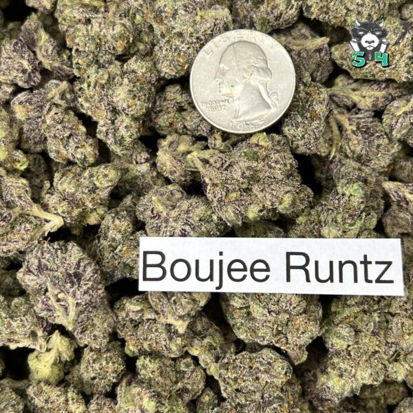 Boujee Runtz - T3 - Image 3