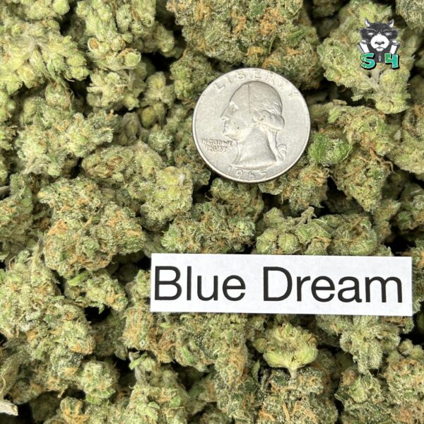 Blue Dream - T3 - Image 2