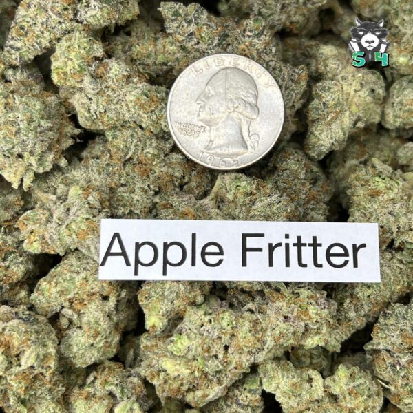 Apple Fritter - Q5 - Image 3