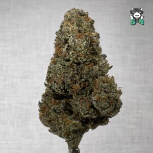 Lemon Cherry Gelato - N20