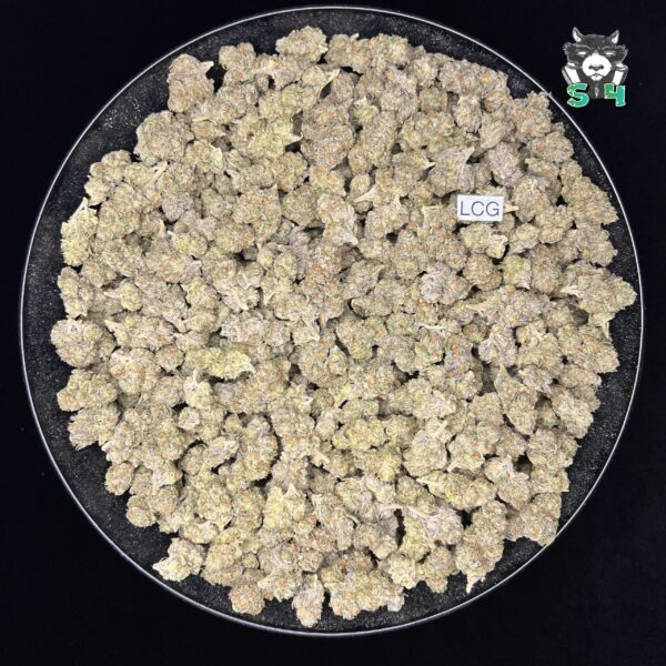 Lemon Cherry Gelato - N20 - Image 2