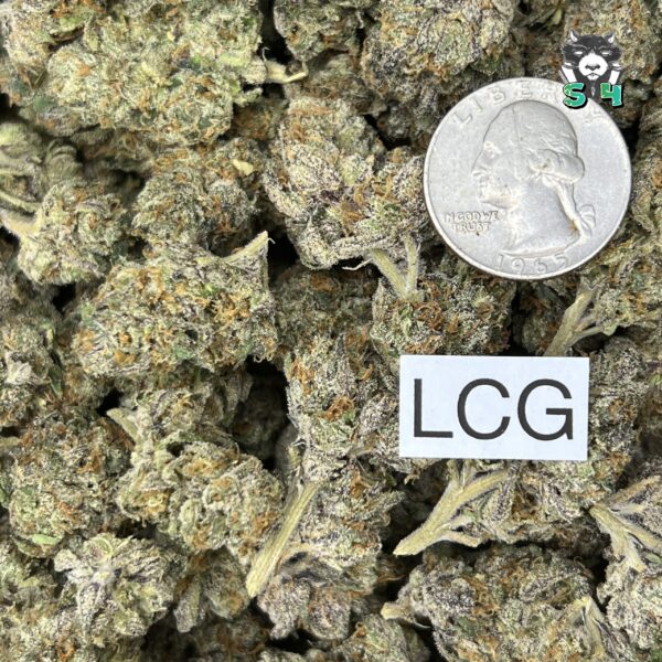 Lemon Cherry Gelato - N20 - Image 3