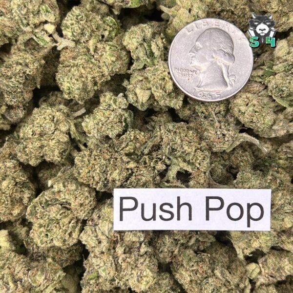 Push Pop - M15 - Image 3
