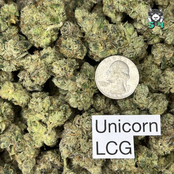 Unicorn Runtz - P7 - Image 3