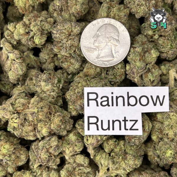 Rainbow Runtz - B17 - Image 3