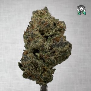 Moonbeam - M15