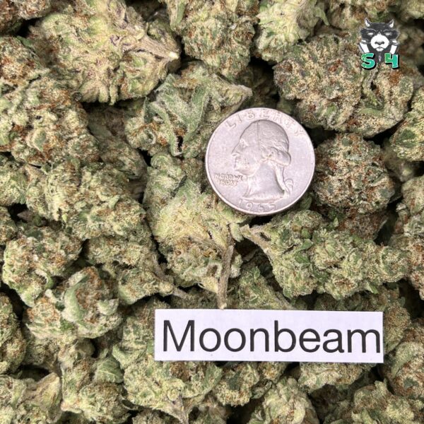 Moonbeam - M15 - Image 3