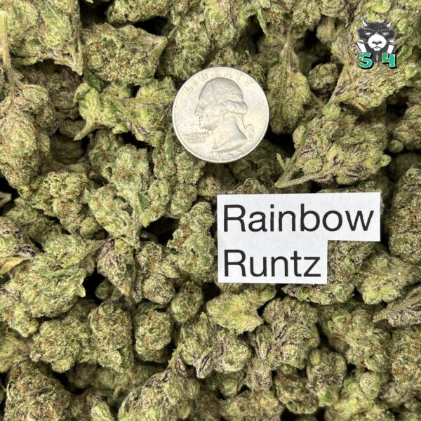 Rainbow Runtz - E4 - Image 3