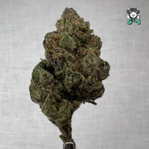 Blue Runtz - E4