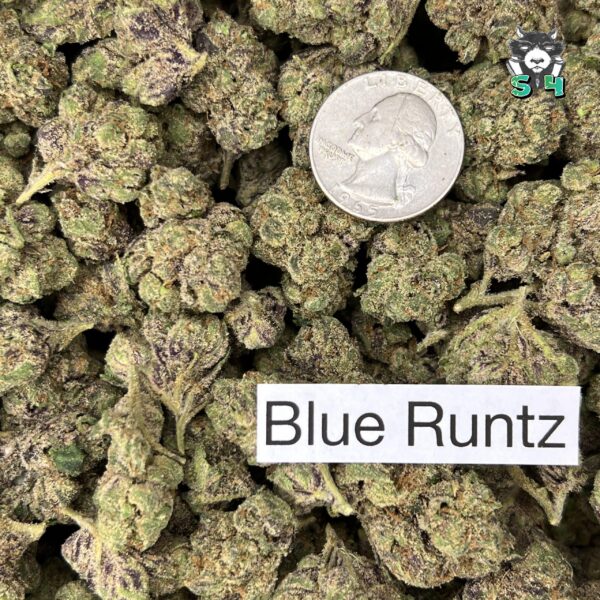 Blue Runtz - E4 - Image 3
