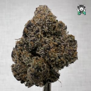 Hawaiian Runtz - G5
