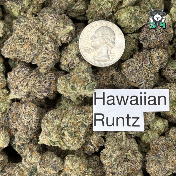 Hawaiian Runtz - G5 - Image 3