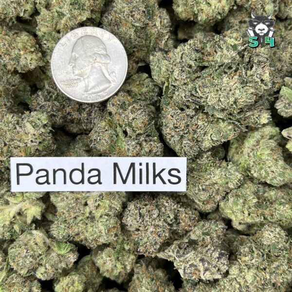Panda Milk - C2 - Image 3