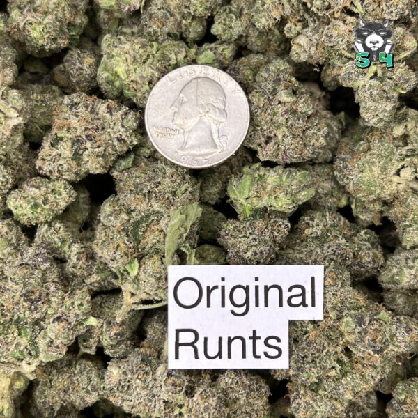 Original Runtz - A4 - Image 3