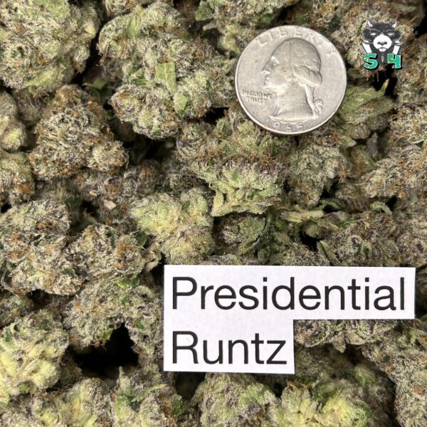 Presidential Runtz - A4 - Image 3