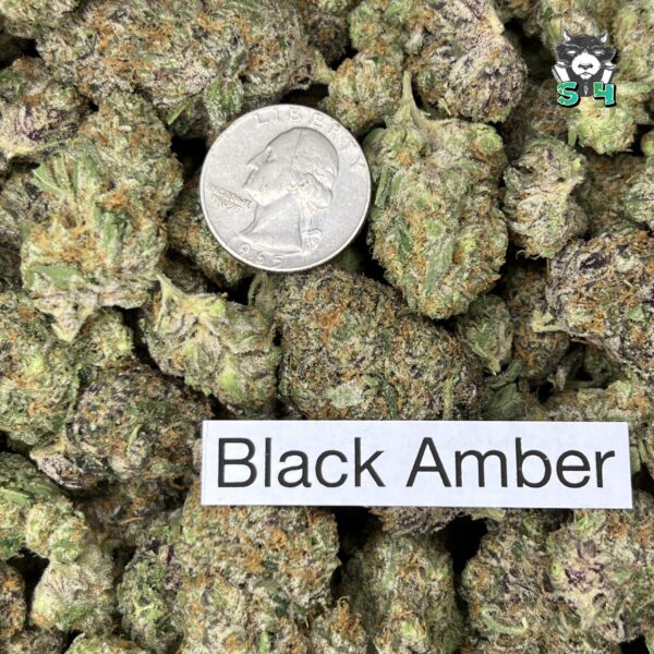Black Amber - A4 - Image 3