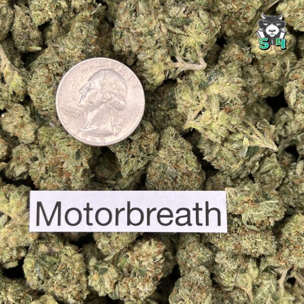 Motorbreath - L4 - Image 3