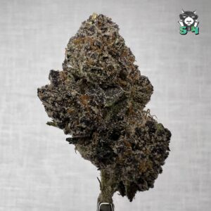 Grape Runtz - F2