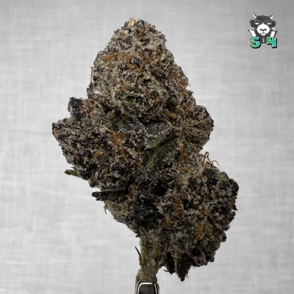 Grape Runtz - F2