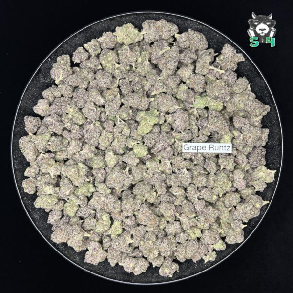 Grape Runtz - F2 - Image 2