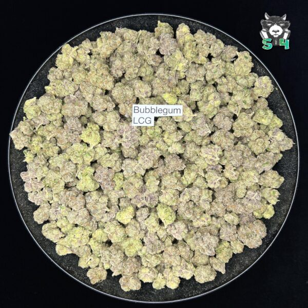 Bubblegum LCG - F2 - Image 2