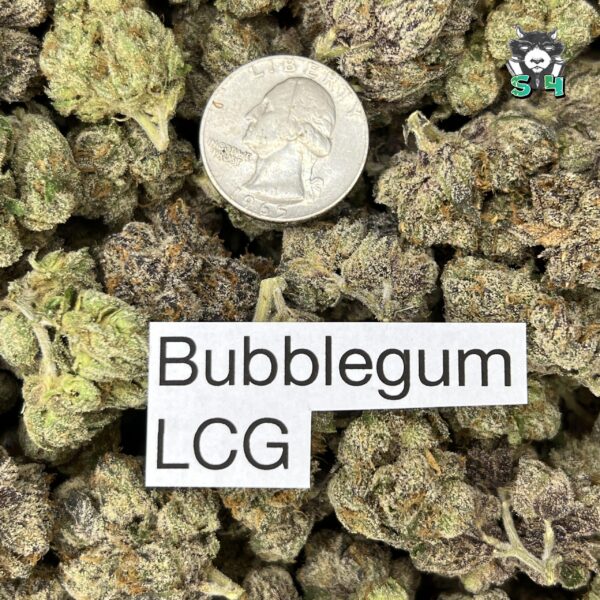 Bubblegum LCG - F2 - Image 3
