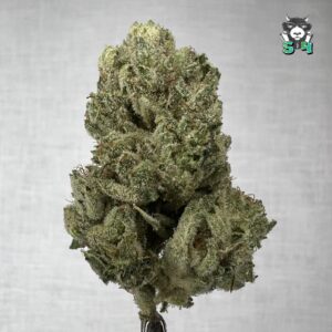 Gorilla Glue - F2