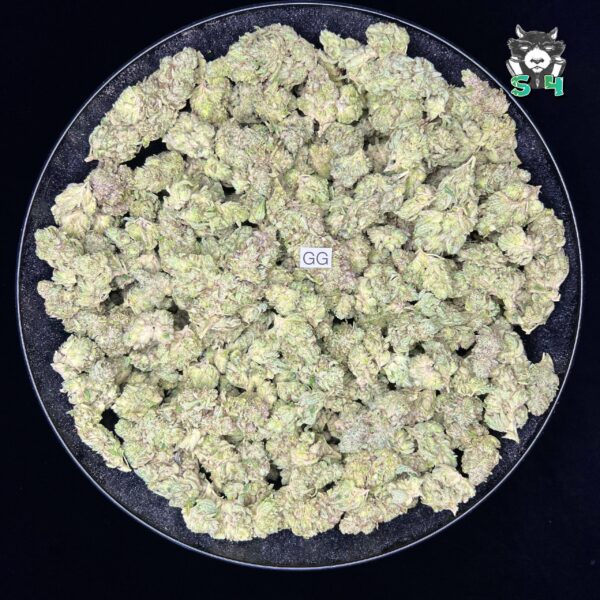 Gorilla Glue - F2 - Image 2