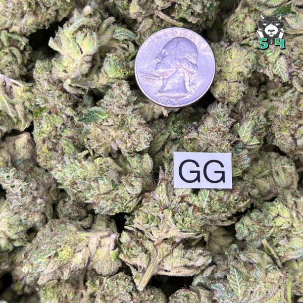 Gorilla Glue - F2 - Image 3